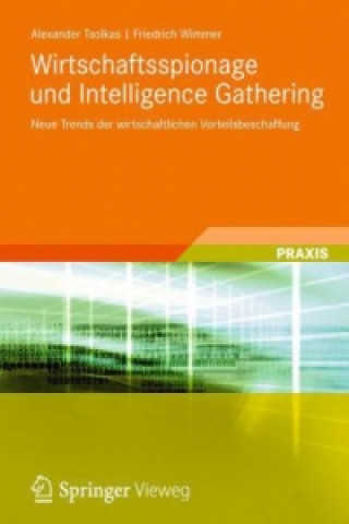 Kniha Wirtschaftsspionage und Intelligence Gathering Alexander Tsolkas