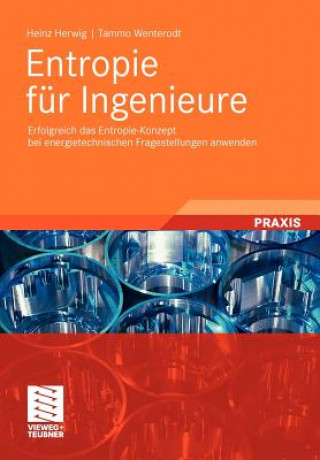 Könyv Entropie Fur Ingenieure Heinz Herwig