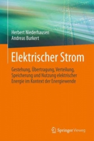 Książka Elektrischer Strom Herbert Niederhausen