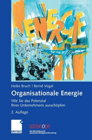 Kniha Organisationale Energie Heike Bruch