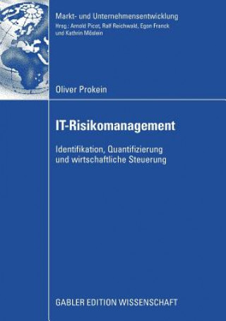 Kniha It-Risikomanagement Oliver Prokein