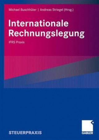 Книга Internationale Rechnungslegung Michael Buschhüter