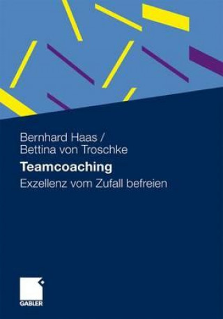 Carte Teamcoaching Bernhard Haas