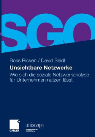 Kniha Unsichtbare Netzwerke Boris Ricken