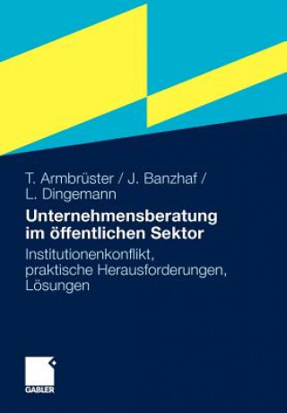 Kniha Unternehmensberatung Im OEffentlichen Sektor Thomas Armbrüster