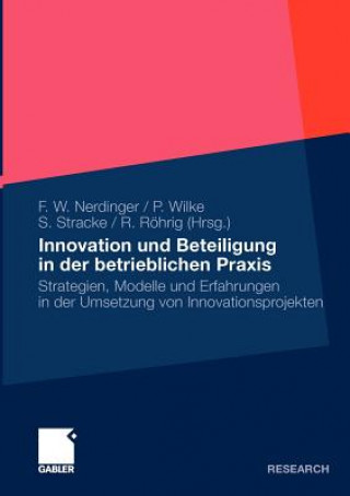 Buch Innovation Und Beteiligung in Der Betrieblichen Praxis Friedemann W. Nerdinger