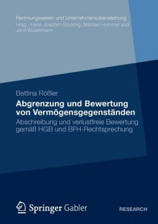 Könyv Abgrenzung Und Bewertung Von Vermoegensgegenstanden Bettina Rößler