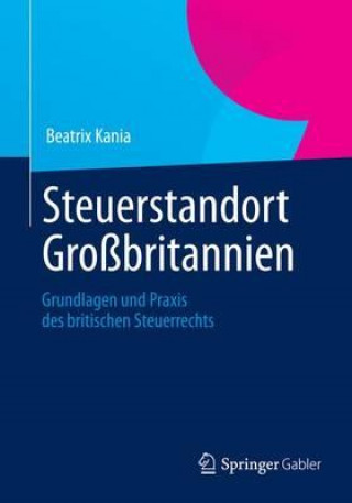 Kniha Steuerstandort Grossbritannien Beatrix Kania