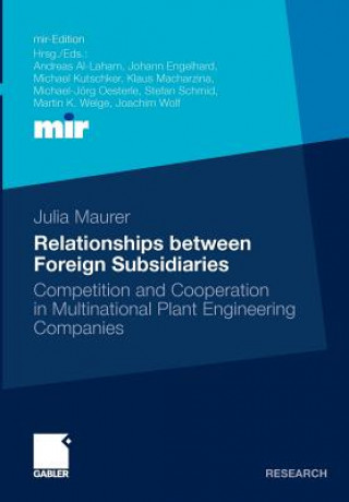 Buch Relationships Between Foreign Subsidiaries Julia Maurer