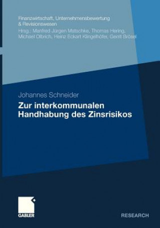 Kniha Zur Interkommunalen Handhabung Des Zinsrisikos Johannes Schneider