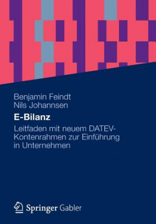 Kniha E-Bilanz Benjamin Feindt