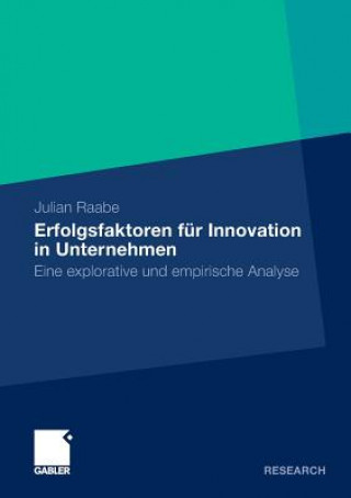 Kniha Erfolgsfaktoren fur Innovation in Unternehmen Julian Raabe