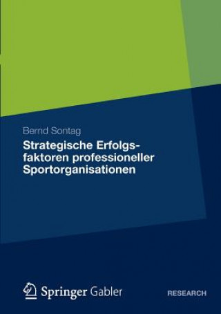 Könyv Strategische Erfolgsfaktoren Professioneller Sportorganisationen Bernd Sontag