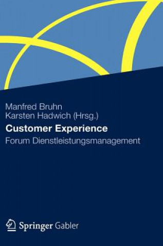 Könyv Customer Experience Manfred Bruhn