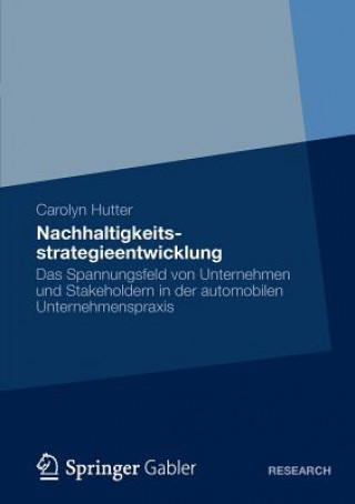 Könyv Nachhaltigkeitsstrategieentwicklung Carolyn Hutter
