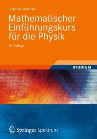 Kniha Mathematischer Einfuhrungskurs fur die Physik Siegfried Großmann