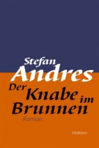 Kniha Werke in Einzelausgaben / Der Knabe im Brunnen Stefan Andres