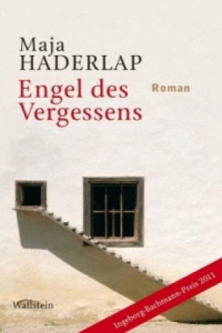 Könyv Engel des Vergessens Maja Haderlap