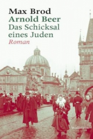 Könyv Arnold Beer. Das Schicksal eines Juden. Roman Max Brod