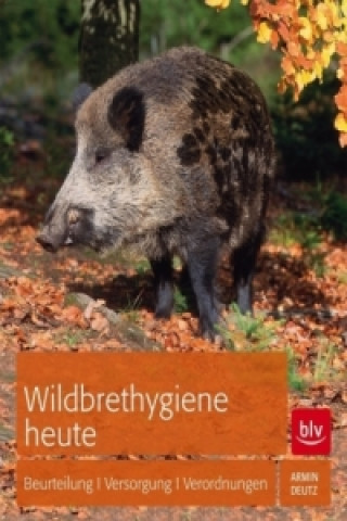 Libro Wildbrethygiene heute Armin Deutz