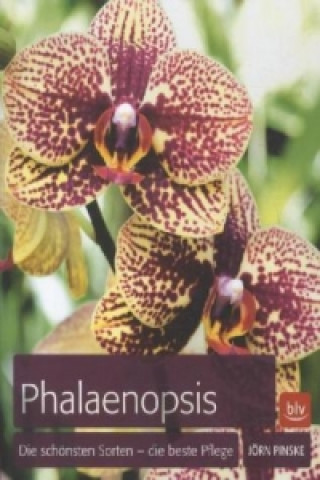 Książka Phalaenopsis Jörn Pinske