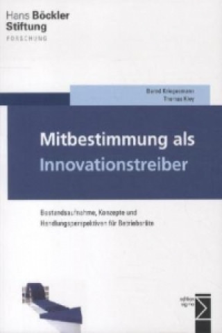 Könyv Mitbestimmung als Innovationstreiber Bernd Kriegesmann