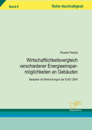 Kniha Wirtschaftlichkeitsvergleich verschiedener Energieeinsparmoeglichkeiten an Gebauden Pawlik Ricardo