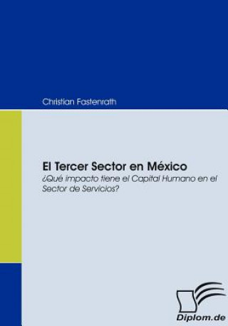 Könyv Tercer Sector en Mexico Christian Fastenrath