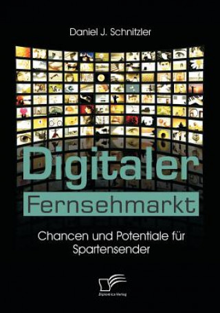 Книга Digitaler Fernsehmarkt Daniel J. Schnitzler