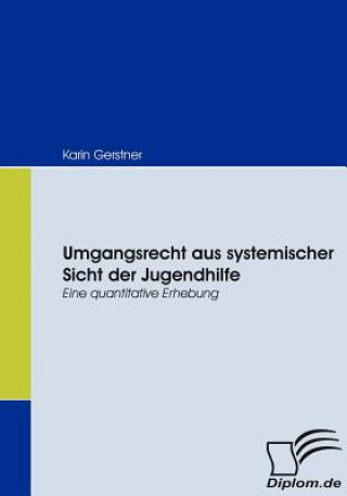 Könyv Umgangsrecht aus systemischer Sicht der Jugendhilfe Karin Gerstner