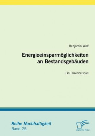 Kniha Energieeinsparmoeglichkeiten an Bestandsgebauden Benjamin Wolf