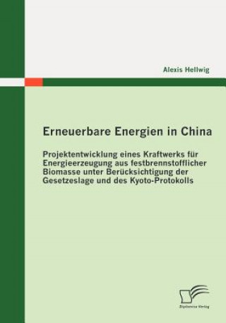 Knjiga Erneuerbare Energien in China Alexis Hellwig