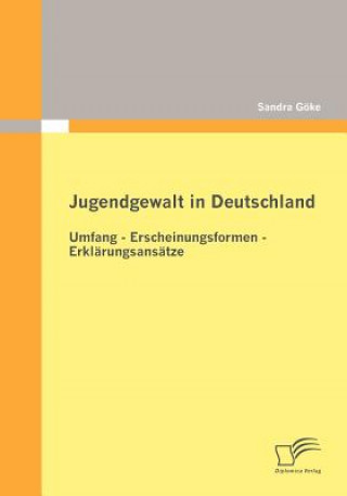Kniha Jugendgewalt in Deutschland Sandra Göke