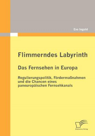 Buch Flimmerndes Labyrinth Eva Ingold