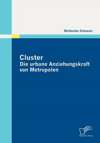 Knjiga Cluster Mahbooba Katawazi