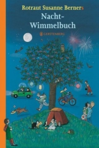 Kniha Nacht-Wimmelbuch - Midi Rotraut S. Berner