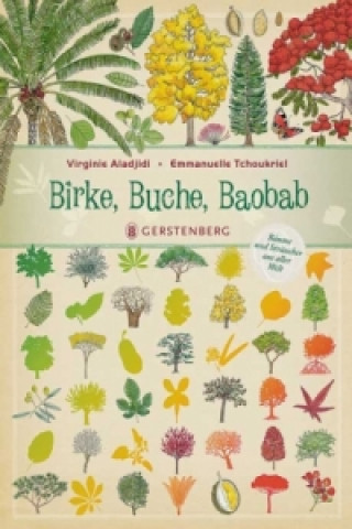 Książka Birke, Buche, Baobab Virginie Aladjidi