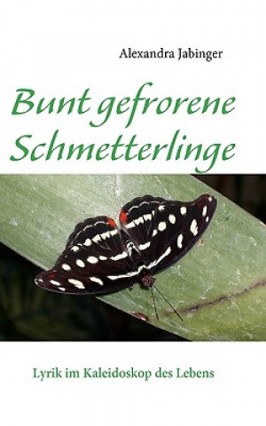 Könyv Bunt gefrorene Schmetterlinge Alexandra Jabinger