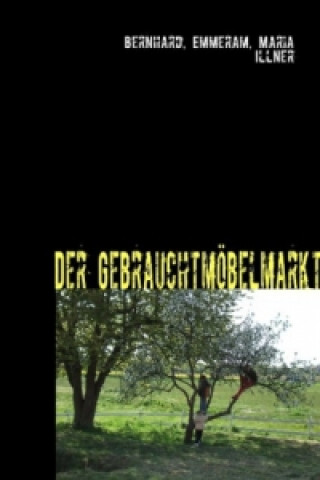 Buch Der Gebrauchtmöbelmarkt Bernhard