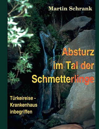 Book Absturz im Tal der Schmetterlinge Martin Schrank