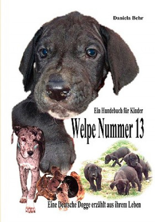 Buch Welpe Nummer 13 Ein Hundekind erzahlt aus seinem Leben Die Geschichte einer Deutschen Dogge Daniela Behr