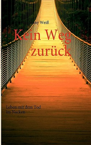 Kniha Kein Weg zuruck Jenny Wei