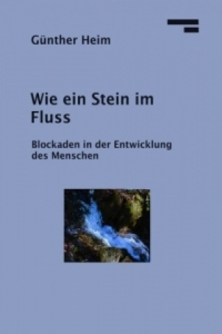 Książka Wie ein Stein im Fluss Günther Heim