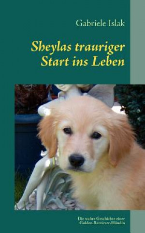 Книга Sheylas trauriger Start ins Leben Gabriele Islak