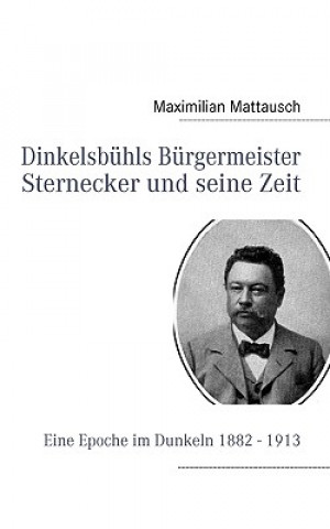 Książka Dinkelsbuhls Burgermeister Sternecker und seine Zeit Maximilian Mattausch