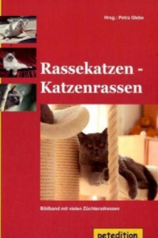 Kniha Rassekatzen - Katzenrassen Petra Glebe