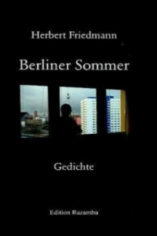 Kniha Berliner Sommer Herbert Friedmann