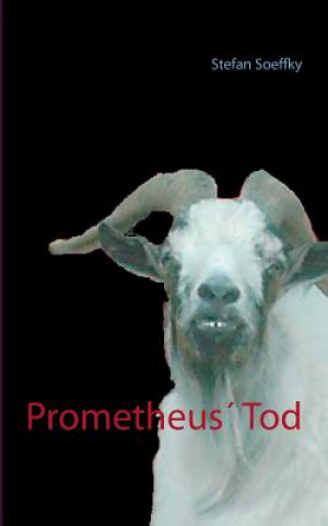 Könyv Prometheus' Tod Stefan Soeffky