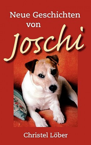 Buch Neue Geschichten von Joschi Christel Löber