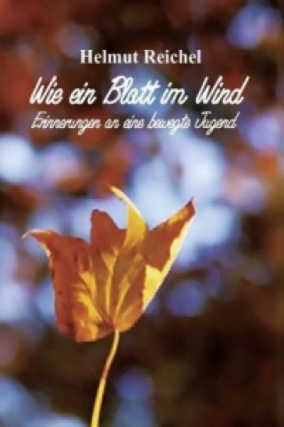 Buch Wie ein Blatt im Wind Helmut Reichel